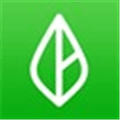 Branch Messenger Alternatives