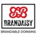 Brandaisy Alternatives