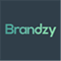 Brandzy Alternatives