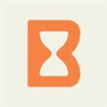 Bric Alternatives