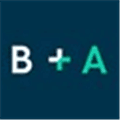 Bricks  Agent Alternatives