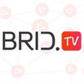 Bridtv Alternatives