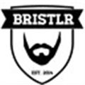 Bristlr Alternatives