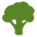 Broccoli Alternatives