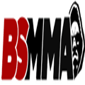 Bsmma Alternatives