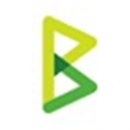 Btcpay Server Alternatives