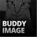 Buddyimage Com Alternatives