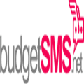 Budgetsms Net Alternatives
