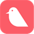 Budgie Budget App Alternatives