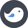 Budgie Alternatives