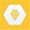 Bumble Alternatives