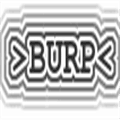Burp Alternatives