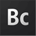 Businesscatalyst Alternatives