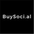 Buysoci Al Alternatives
