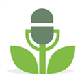 Buzzsprout Alternatives