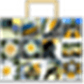 Byo image Search Lab Alternatives