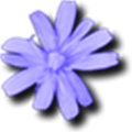 C64 Forever Alternatives