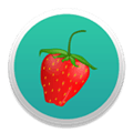 Calorie Calculator Alternatives