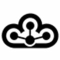 Cameyo Alternatives