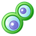 Camfrog Alternatives