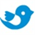 Campaign Bird Alternatives