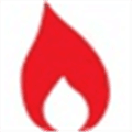 Career igniter Alternatives
