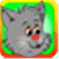 Cat And Dogs Alternatives