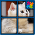 Cat The Jigsaw Puzzle Free Alternatives