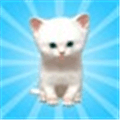 Catch Meow Alternatives