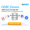 Cdata Odbc Drivers Alternatives
