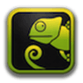 Chameleon Window Manager Alternatives