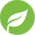 Charitymint Alternatives