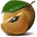 Chikoo Alternatives