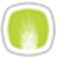 Chive Alternatives