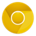 Chrome Canary Alternatives