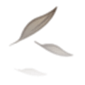 Chyrp Alternatives