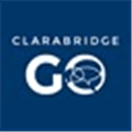 Clarabridge Alternatives