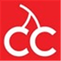 Cloudcherry Analytics Alternatives