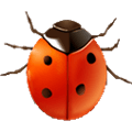 Coccinella Alternatives