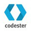 Codester Alternatives