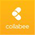 Collabee Alternatives