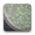 Colony Count Beta Alternatives