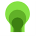 Conceptdraw Mindmap Alternatives