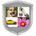 Confident Captcha Alternatives