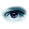 Copyscape Alternatives