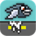 Crappy Bird Alternatives