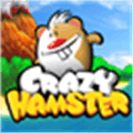 Crazy Hamster Alternatives