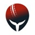 Cricheroes Alternatives