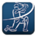 Cricket Score Alternatives