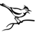 Cuckoo Sandbox Alternatives